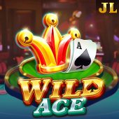Wild Ace Hann Casino Resort slot